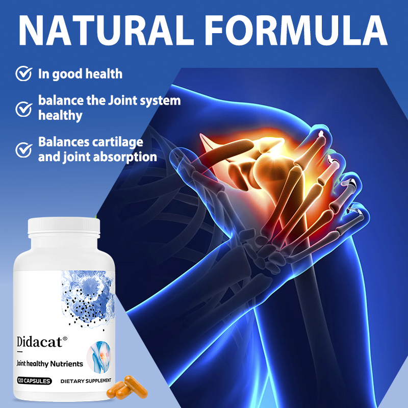 Glucosamine Chondroitin MSM wi - Glucosamine Chondroitin Joint review and price